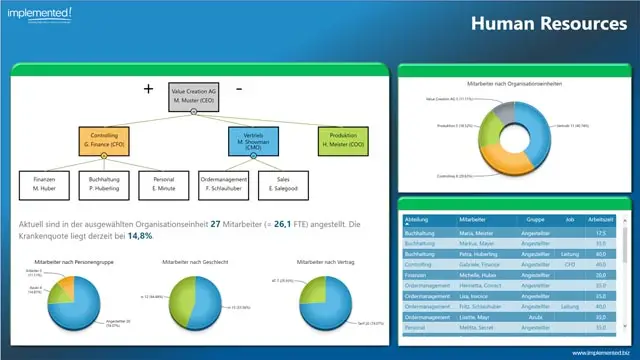 Screenshot PowerBI Demo Human Resources implemented! GmbH