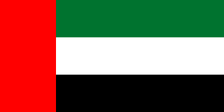 Flagge Dubai